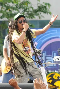 Foto Steven and The Coconut Treez