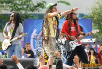 Foto Steven and The Coconut Treez