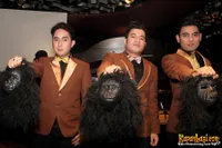 Foto Tiga Kingkong