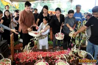 Foto Titi Rajo Bintang