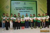 Foto Tri Rismaharini