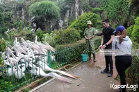 Foto Verrell Bramasta