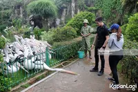 Foto Verrell Bramasta