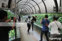 Foto Verrell Bramasta