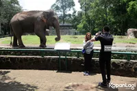 Foto Verrell Bramasta