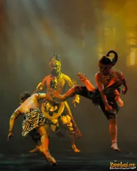 Foto Volland Humonggio