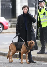 Foto Benedict Cumberbatch