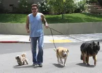 Foto Billy Ray Cyrus