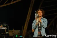 Foto Jungle By The Night