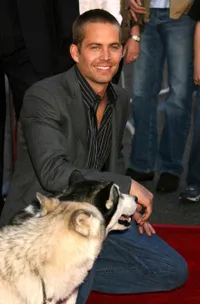 Foto Paul Walker