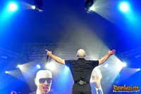 Foto Pitbull
