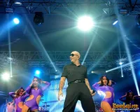 Foto Pitbull