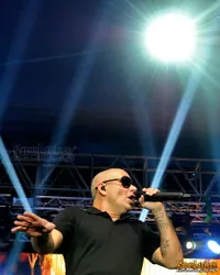 Foto Pitbull