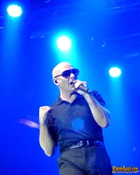 Foto Pitbull