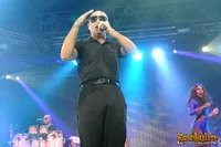 Foto Pitbull