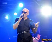 Foto Pitbull