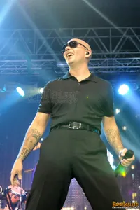 Foto Pitbull