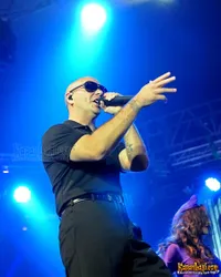 Foto Pitbull