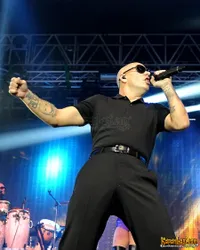 Foto Pitbull