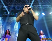 Foto Pitbull
