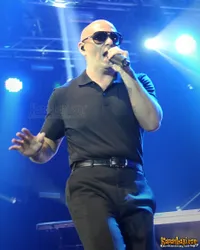Foto Pitbull