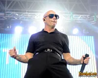 Foto Pitbull