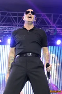 Foto Pitbull