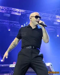 Foto Pitbull