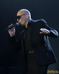 Foto Pitbull