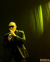 Foto Pitbull