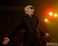 Foto Pitbull