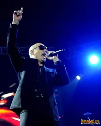 Foto Pitbull