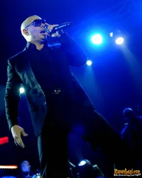 Foto Pitbull