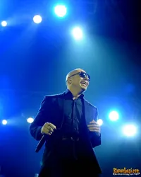 Foto Pitbull