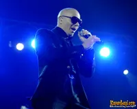 Foto Pitbull