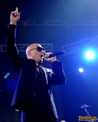 Foto Pitbull