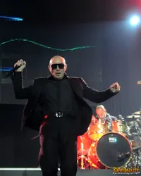 Foto Pitbull