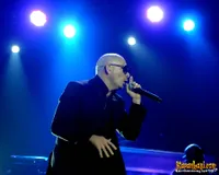Foto Pitbull