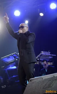 Foto Pitbull