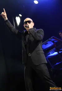 Foto Pitbull