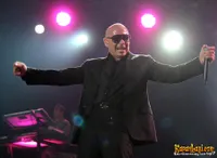 Foto Pitbull