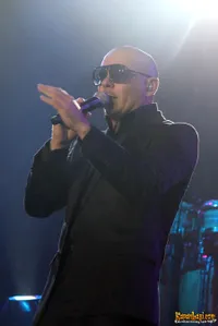 Foto Pitbull