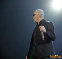 Foto Pitbull