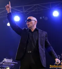 Foto Pitbull