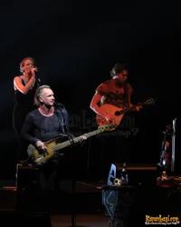 Foto Sting