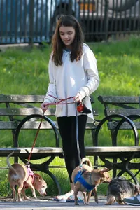 Foto Suri Cruise