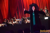 Foto Suzanne Shakespeare