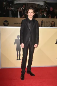 Foto Timothee Chalamet