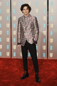 Foto Timothee Chalamet