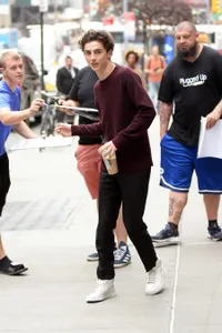 Foto Timothee Chalamet